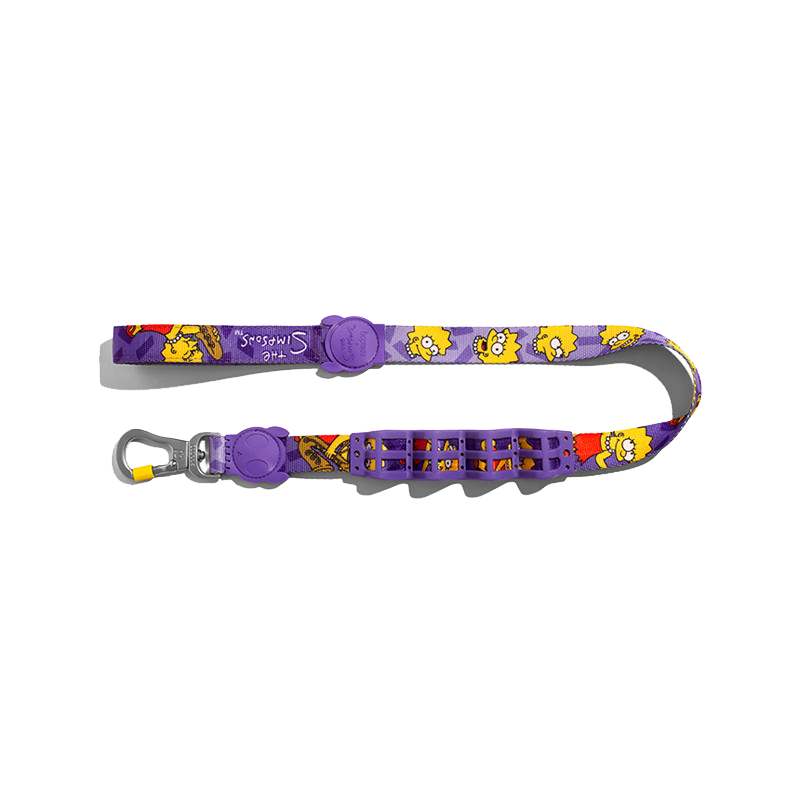 Shock-Absorbing Dog Leash – Buffer Traction Rope