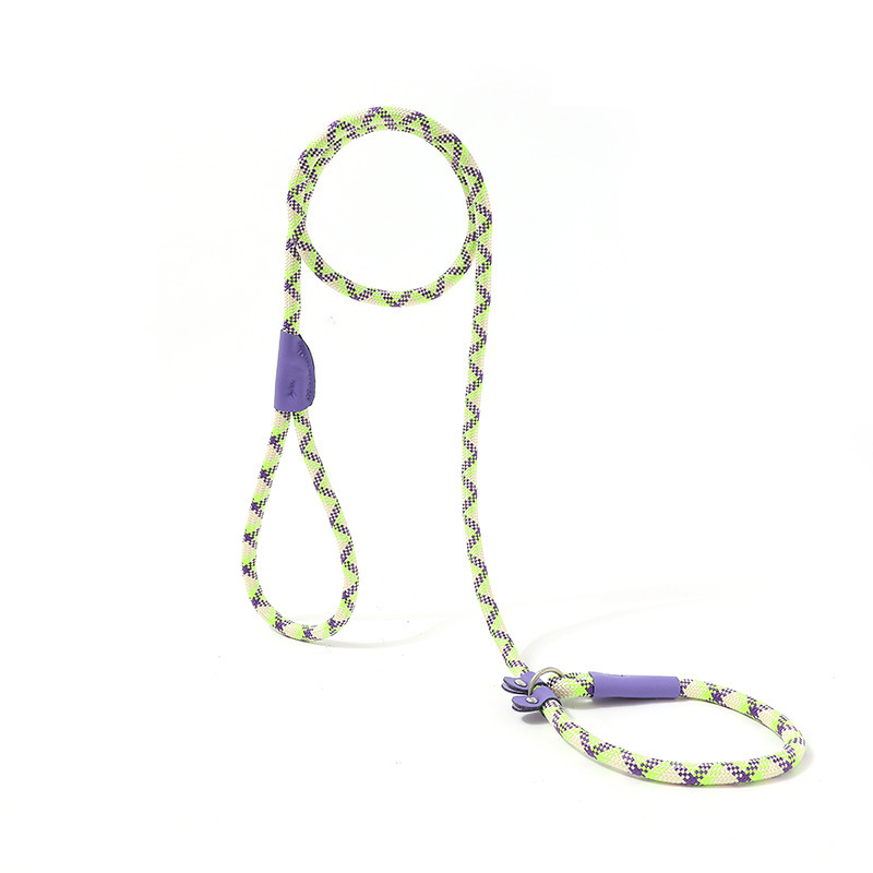 Multicolor Dog Leash & Harness Set – Heavy Duty Hands-Free Training Rope for Small & Large Dogs