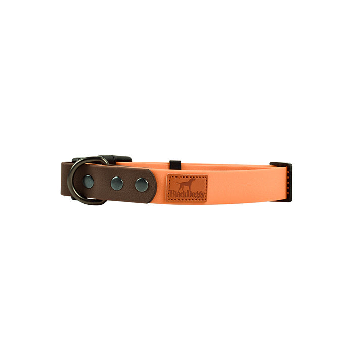 Retro Dog Collar with Traction Rope