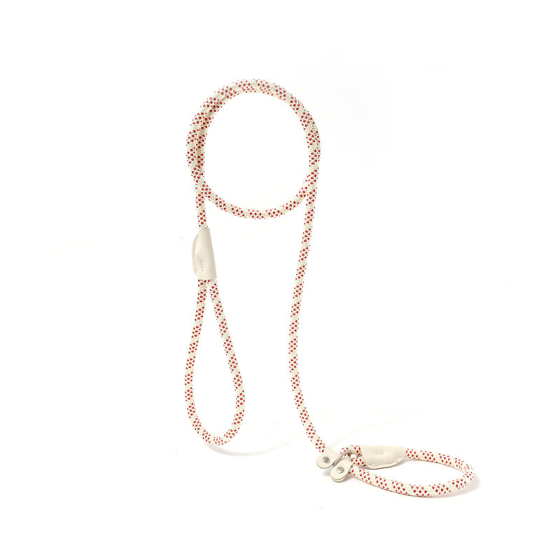 Multicolor Dog Leash & Harness Set – Heavy Duty Hands-Free Training Rope for Small & Large Dogs