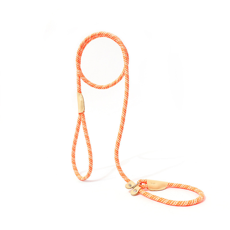 Multicolor Dog Leash & Harness Set – Heavy Duty Hands-Free Training Rope for Small & Large Dogs