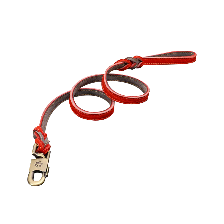 Premium Cowhide Dog Leash and Collar Set