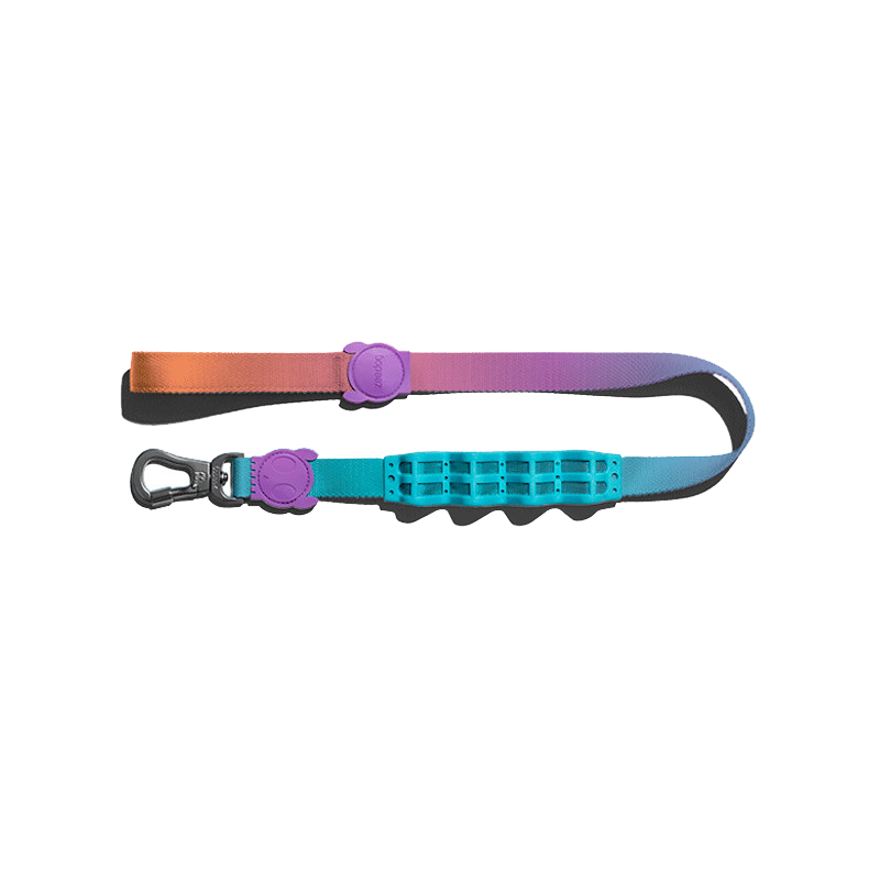 Shock-Absorbing Dog Leash – Buffer Traction Rope