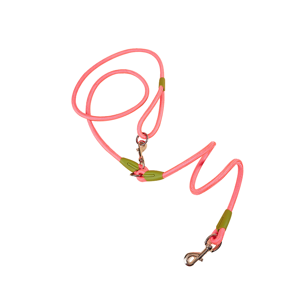 Explosion-Proof Dog Towing Rope with Bite-Resistant Chain
