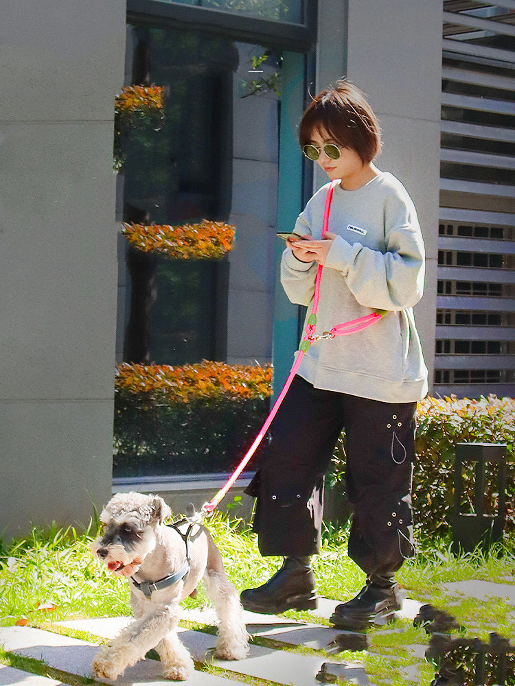 Explosion-Proof Dog Towing Rope with Bite-Resistant Chain