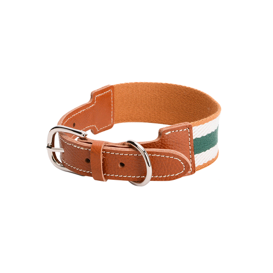 Adjustable Stripe Pet Collar with Buckle Strap