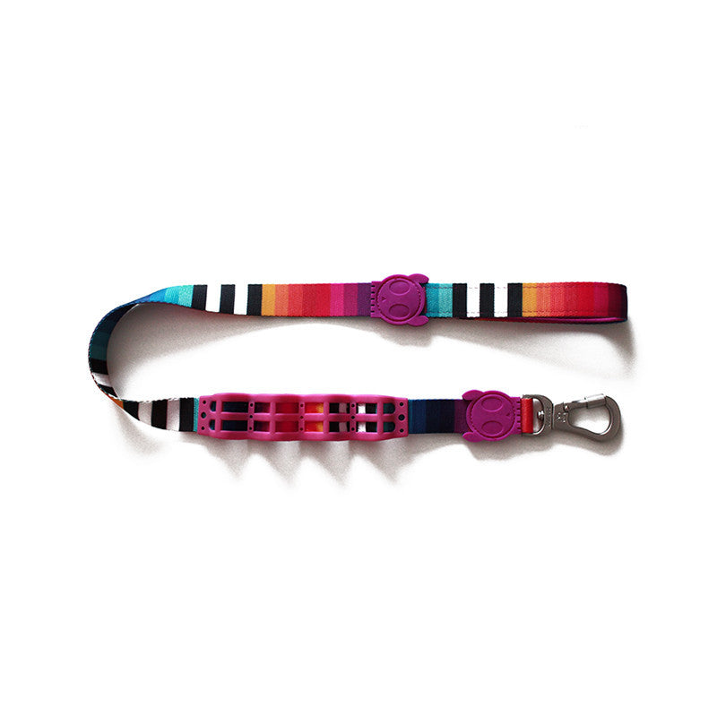 Shock-Absorbing Dog Leash – Buffer Traction Rope