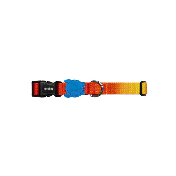 Gradient Color Dog Collar – Stylish & Adjustable Pet Neckband