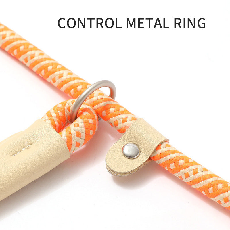 Multicolor Dog Leash & Harness Set – Heavy Duty Hands-Free Training Rope for Small & Large Dogs