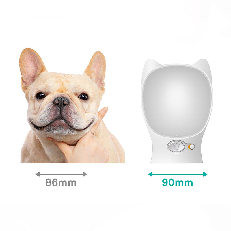 Portable Pet Dog Water Bottle for Outdoor Drinking