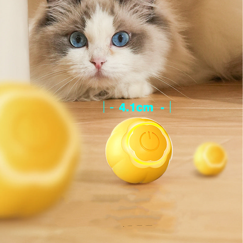 Smart Rolling Cat Toy – Bite-Resistant & Boredom Relief