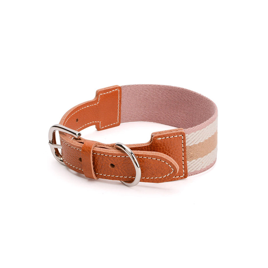 Adjustable Stripe Pet Collar with Buckle Strap