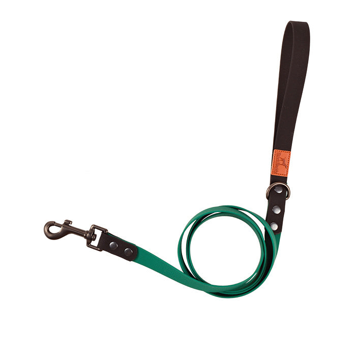 Retro Dog Collar with Traction Rope