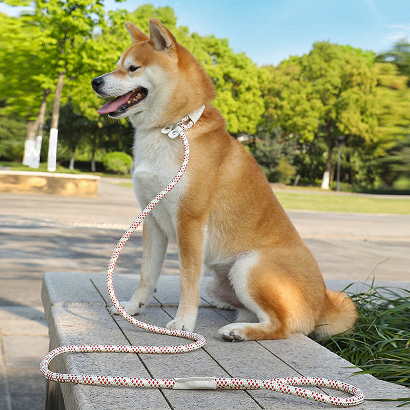 Multicolor Dog Leash & Harness Set – Heavy Duty Hands-Free Training Rope for Small & Large Dogs