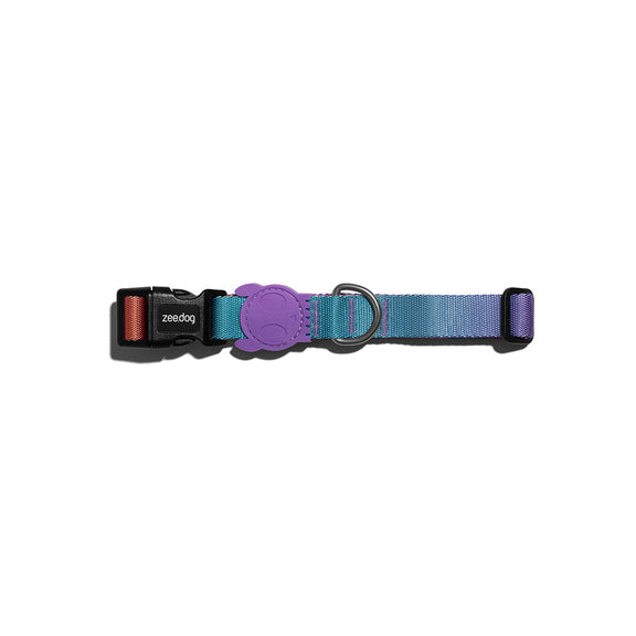 Gradient Color Dog Collar – Stylish & Adjustable Pet Neckband