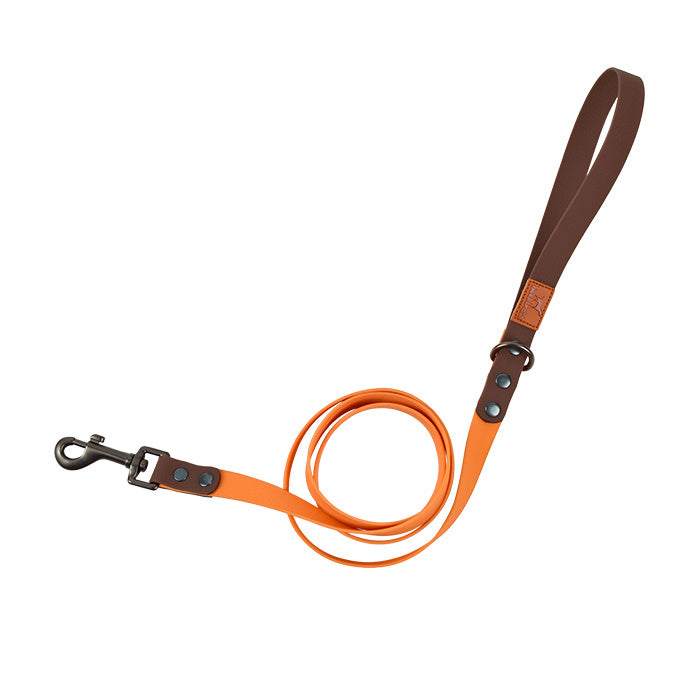 Retro Dog Collar with Traction Rope