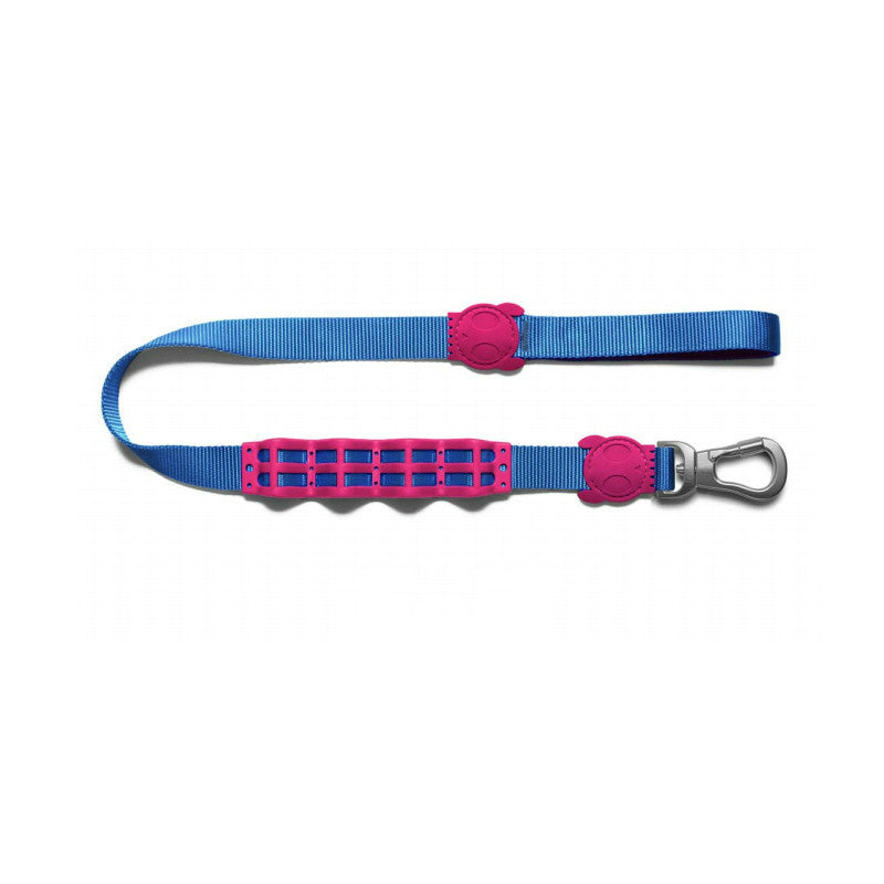 Shock-Absorbing Dog Leash – Buffer Traction Rope