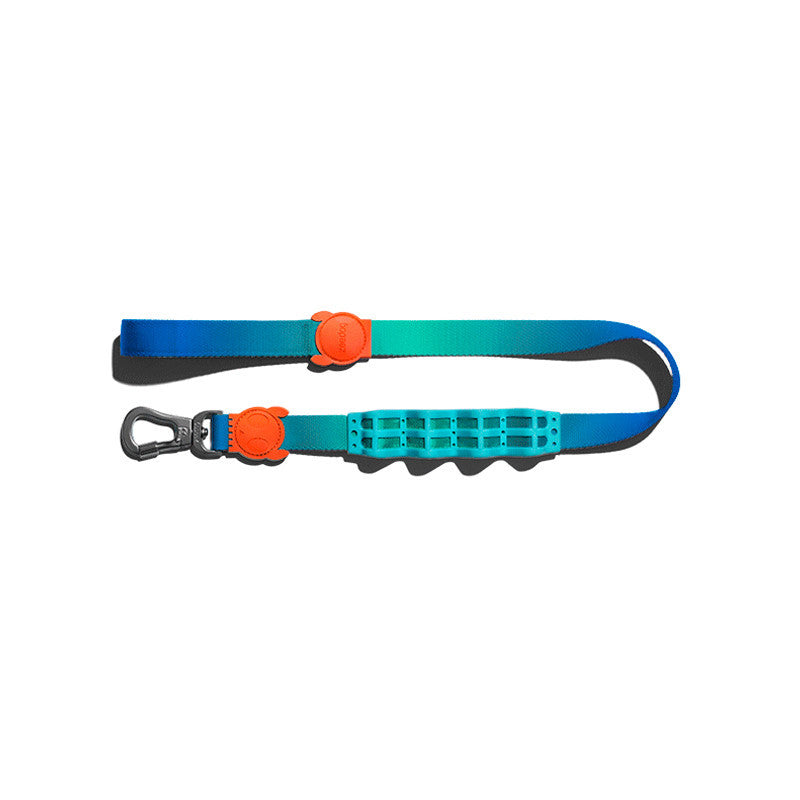 Shock-Absorbing Dog Leash – Buffer Traction Rope
