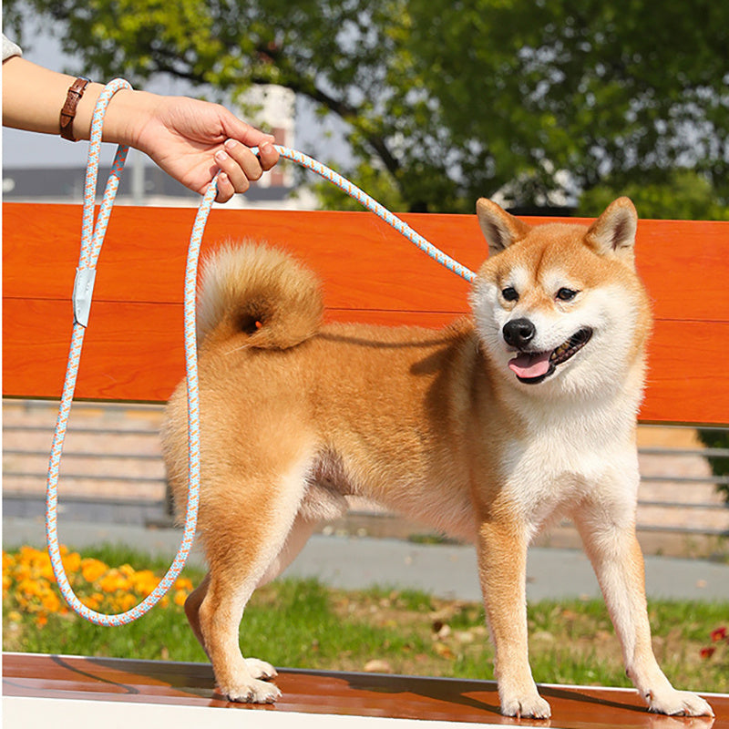 Multicolor Dog Leash & Harness Set – Heavy Duty Hands-Free Training Rope for Small & Large Dogs
