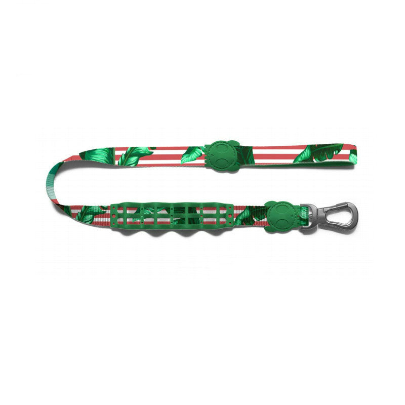 Shock-Absorbing Dog Leash – Buffer Traction Rope