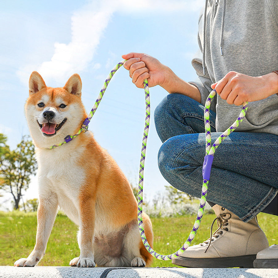 Multicolor Dog Leash & Harness Set – Heavy Duty Hands-Free Training Rope for Small & Large Dogs