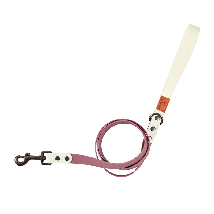 Retro Dog Collar with Traction Rope