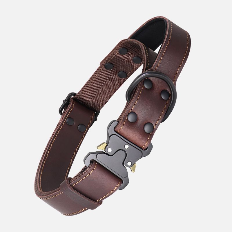 Leather Dog Bandana with Explosion-Proof Pulling Leash