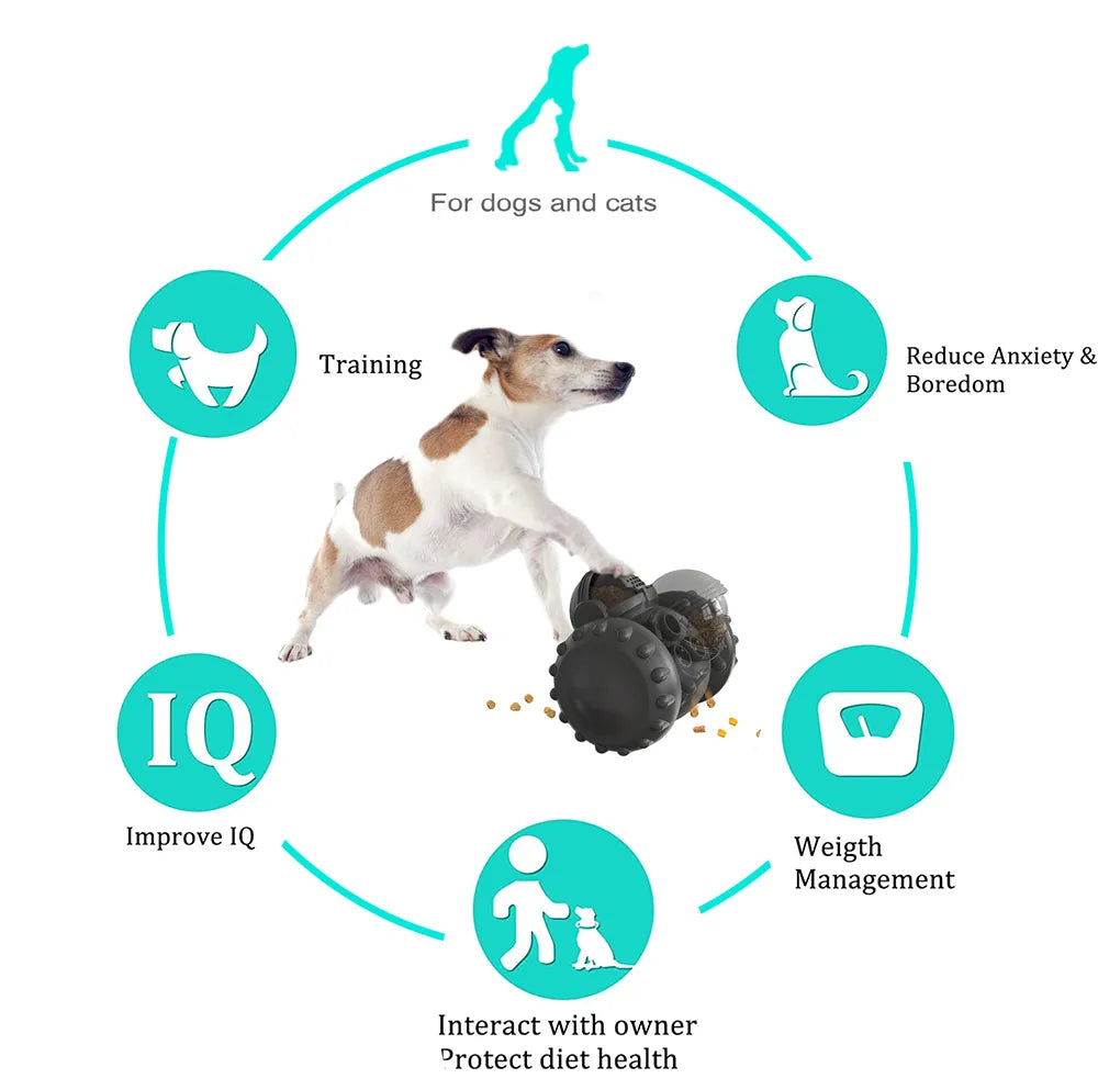 Interactive Pet Slow Feeder Toy Car for Cats & Dogs