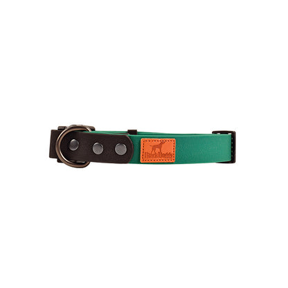Retro Dog Collar with Traction Rope