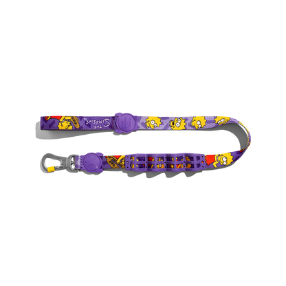 Shock-Absorbing Dog Leash – Buffer Traction Rope