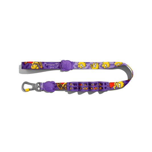 Shock-Absorbing Dog Leash – Buffer Traction Rope