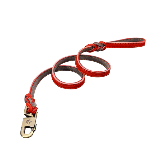 Premium Cowhide Dog Leash and Collar Set