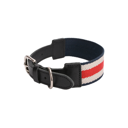 Adjustable Stripe Pet Collar with Buckle Strap
