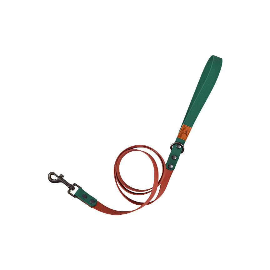 Retro Dog Collar with Traction Rope