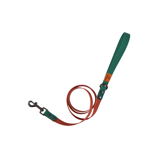 Retro Dog Collar with Traction Rope