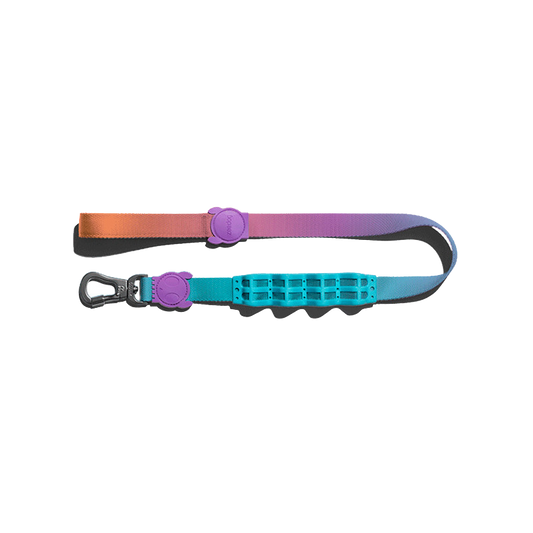 Shock-Absorbing Dog Leash – Buffer Traction Rope