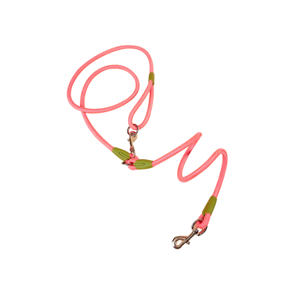 Explosion-Proof Dog Towing Rope with Bite-Resistant Chain