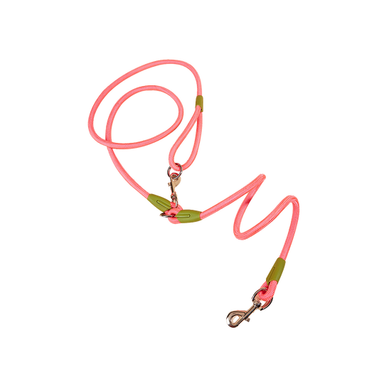 Explosion-Proof Dog Towing Rope with Bite-Resistant Chain