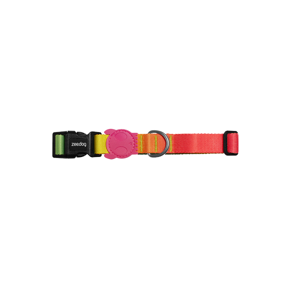 Gradient Color Dog Collar – Stylish & Adjustable Pet Neckband