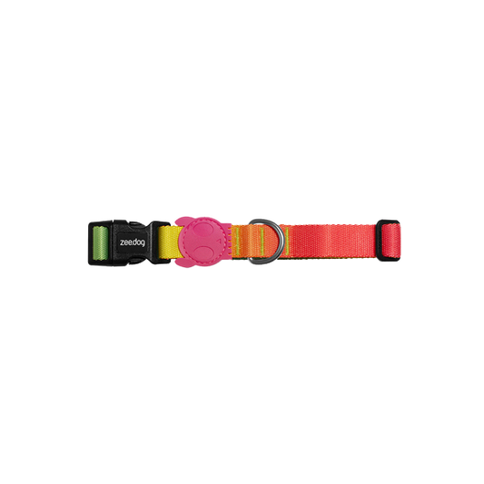 Gradient Color Dog Collar – Stylish & Adjustable Pet Neckband