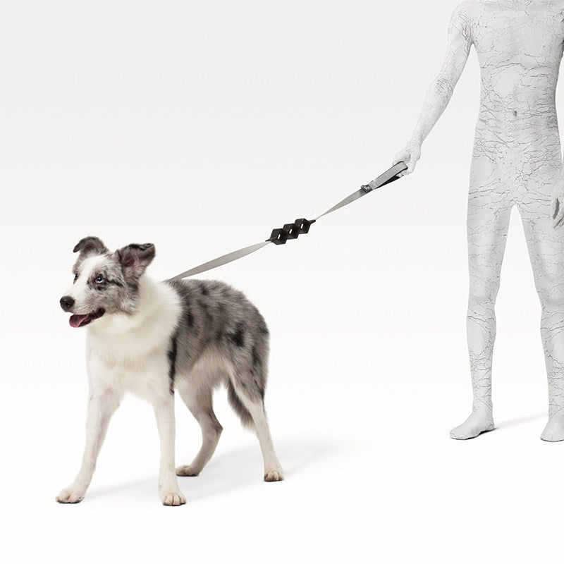 Shock-Absorbing Pet Leash – Diamond Striped Color Block Design