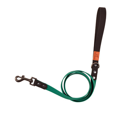 Retro Dog Collar with Traction Rope