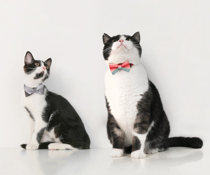 Cat Bow Tie Collar – Stylish Cat Accessories