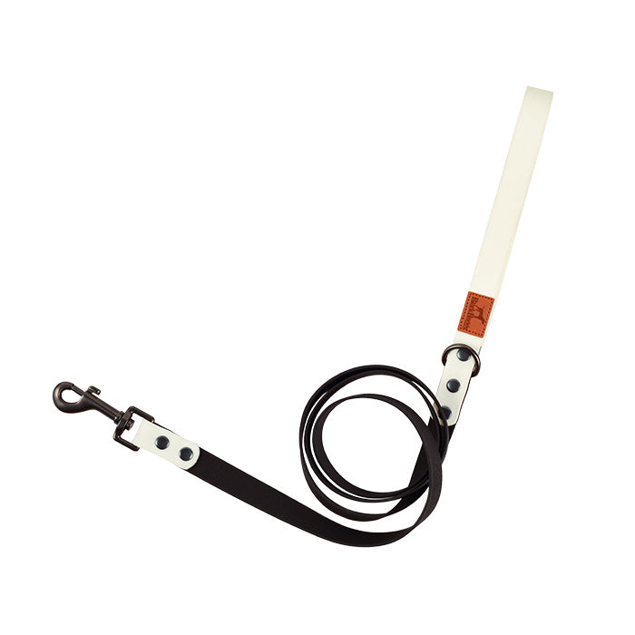 Retro Dog Collar with Traction Rope