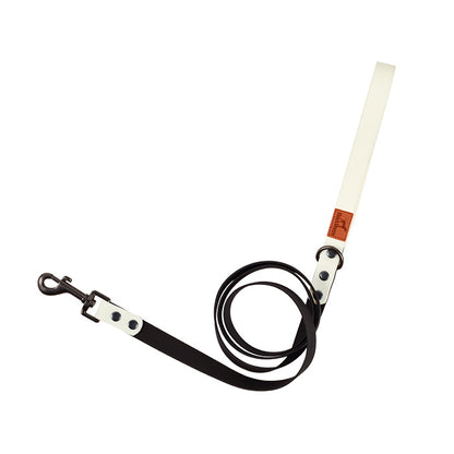 Retro Dog Collar with Traction Rope